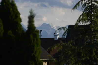 DSC_6057 (Large).JPG